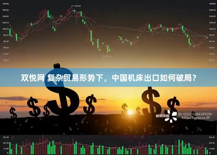 双悦网 复杂贸易形势下，中国机床出口如何破局？