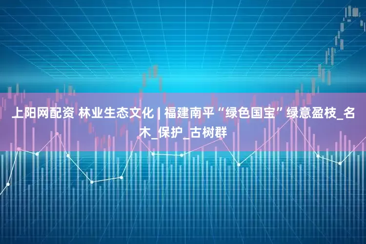 上阳网配资 林业生态文化 | 福建南平“绿色国宝”绿意盈枝_名木_保护_古树群