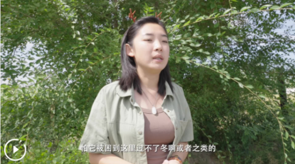 宏琳优配 万人说新疆|河狸公主——初雯雯