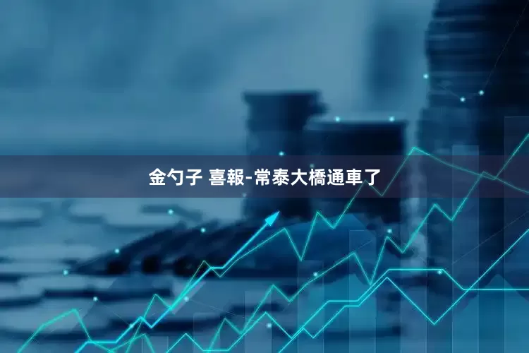 金勺子 喜報-常泰大橋通車了